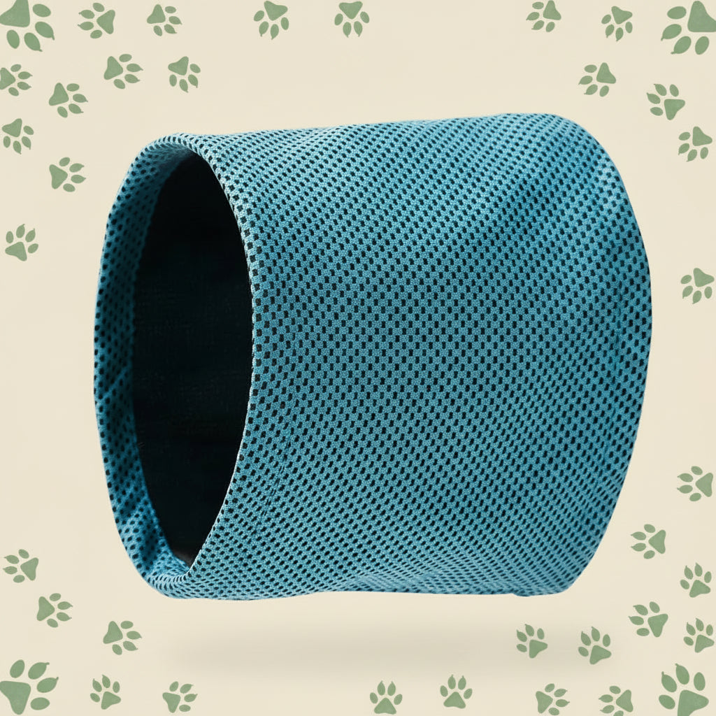 Kühl-Bandana für Hunde – Hitzeschutz, der auch noch süß aussieht