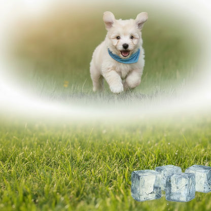 Kühl-Bandana für Hunde – Hitzeschutz, der auch noch süß aussieht
