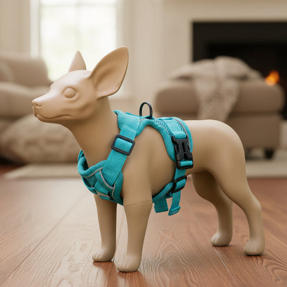 Ensemble Harnais et Laisse Woofiva – Doux, Sûr et Élégant pour petits chiens