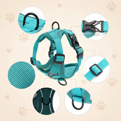 Ensemble Harnais et Laisse Woofiva – Doux, Sûr et Élégant pour petits chiens