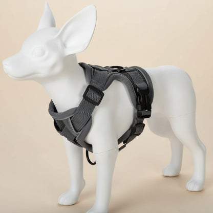 Ensemble Harnais et Laisse Woofiva – Doux, Sûr et Élégant pour petits chiens