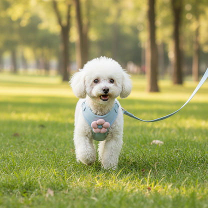 Woofiva Hundegeschirr mit 1,5 m Leine – Verstellbar & Sicher | S–XL
