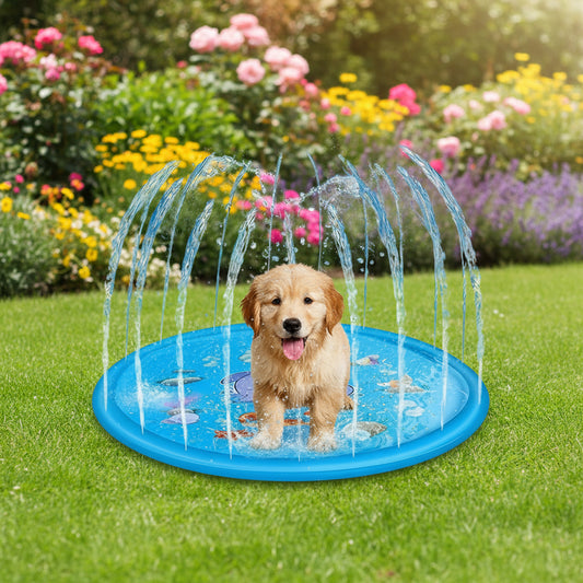 Hundeplanschbecken mit Wassersprühfunktion