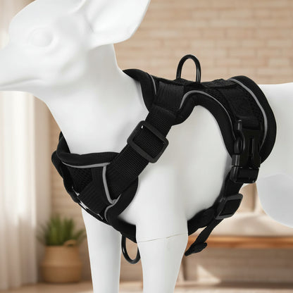 Ensemble Harnais et Laisse Woofiva – Doux, Sûr et Élégant pour petits chiens