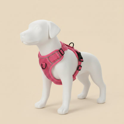 Ensemble Harnais et Laisse Woofiva – Doux, Sûr et Élégant pour petits chiens
