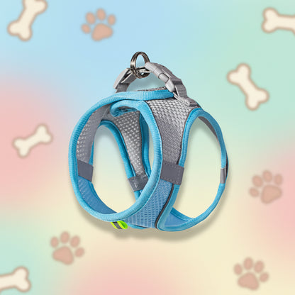Ensemble harnais et laisse doux pour chien – Réfléchissant et sûr